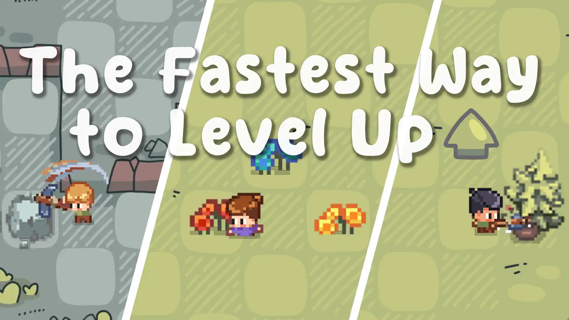 Fast Level Up Guide